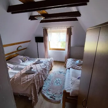 Willa Krysztalowy Potok Bed & Breakfast